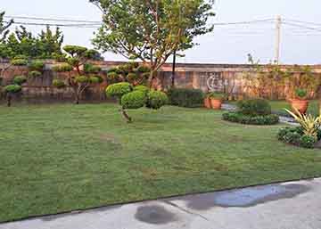 庭院改造 給你清爽綠意空間
